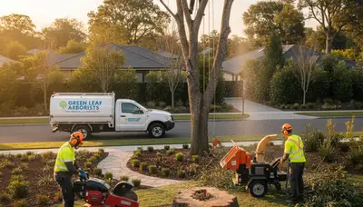 Professional landscaping and tree removal in Salisbury, MD by Chop Chop Tree experts