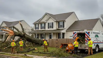 Emergency tree removal after storm damage in Parsonsburg, MD by Salisbury tree service professionals